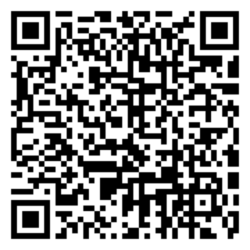 2025-10-04 qr-code Disco Kids